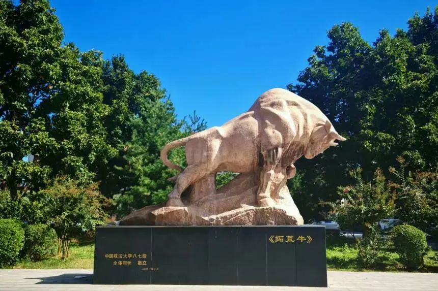 以实践为导向,加强涉外法治人才培养 以实践为导向,加强涉外法治人才培养