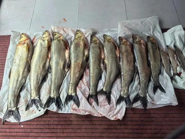 触目惊心!杭州曹某,被采取刑事强制措施 触目惊心!杭州曹某,被采取刑事强制措施