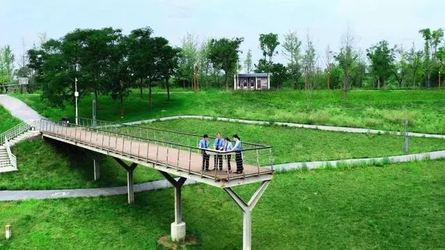 全力以赴，守护绿水青山