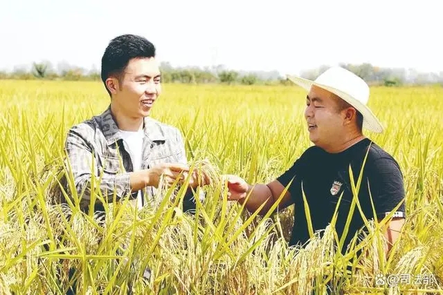 江淮大地上，11.8万名“法律明白人”扎根基层服务百姓——汇聚法治力量 护航乡村振兴