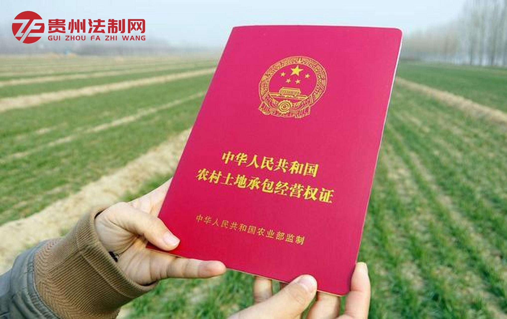 问：未经村民民主议定程序决定，村委会向本集体经济组织成员之外的主体发包了土地经营权，且合同已实际履行的，应当如何认定合同效力，损失处理处理？